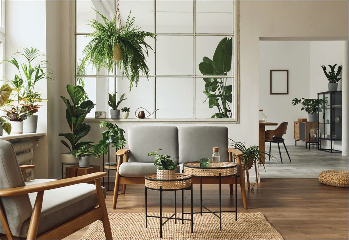 ESTILO URBAN JUNGLE EN CASA: ¿cura la fatiga mental? 11