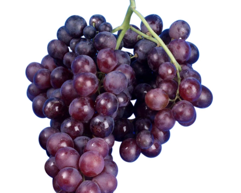 Viveros Barber: Variedades de uva de mesa sin semilla 2
