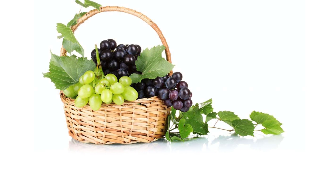 Viveros Barber: Variedades de uva de mesa sin semilla 21