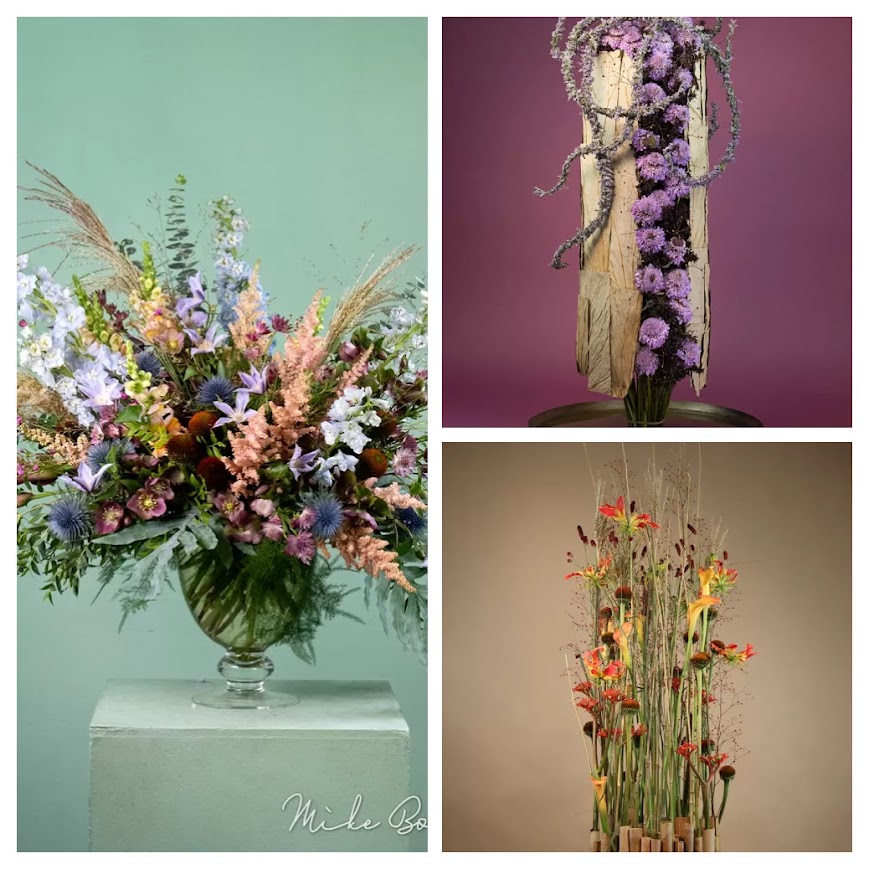 El Manifiesto de la Flora 2026: muerte al beige 1