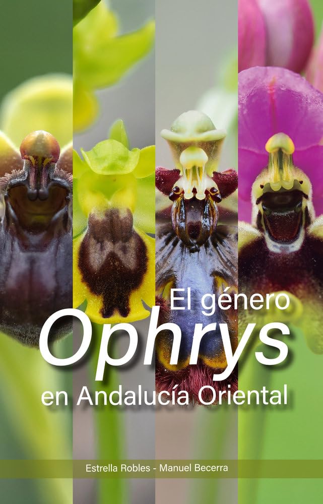 ¿Cómo DECORAR CON ORQUÍDEAS EN CASA EN CUENCA sin fracasar? 5