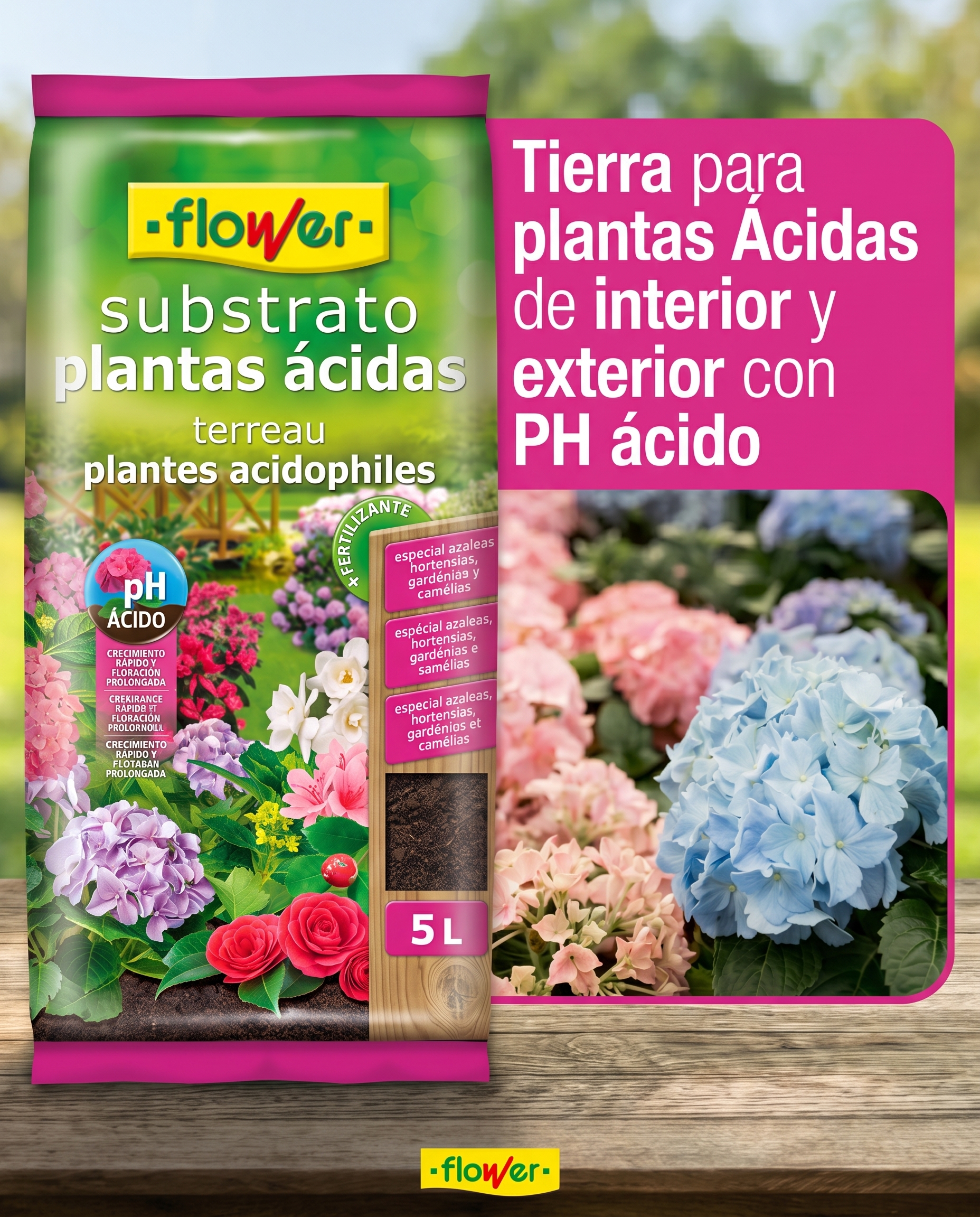 Guía de plantas otoñales: Cómo cultivar brezo, pensamiento y crisantemos con éxito 12 Guía de plantas otoñales: Cómo cultivar brezo, pensamiento y crisantemos con éxito 12