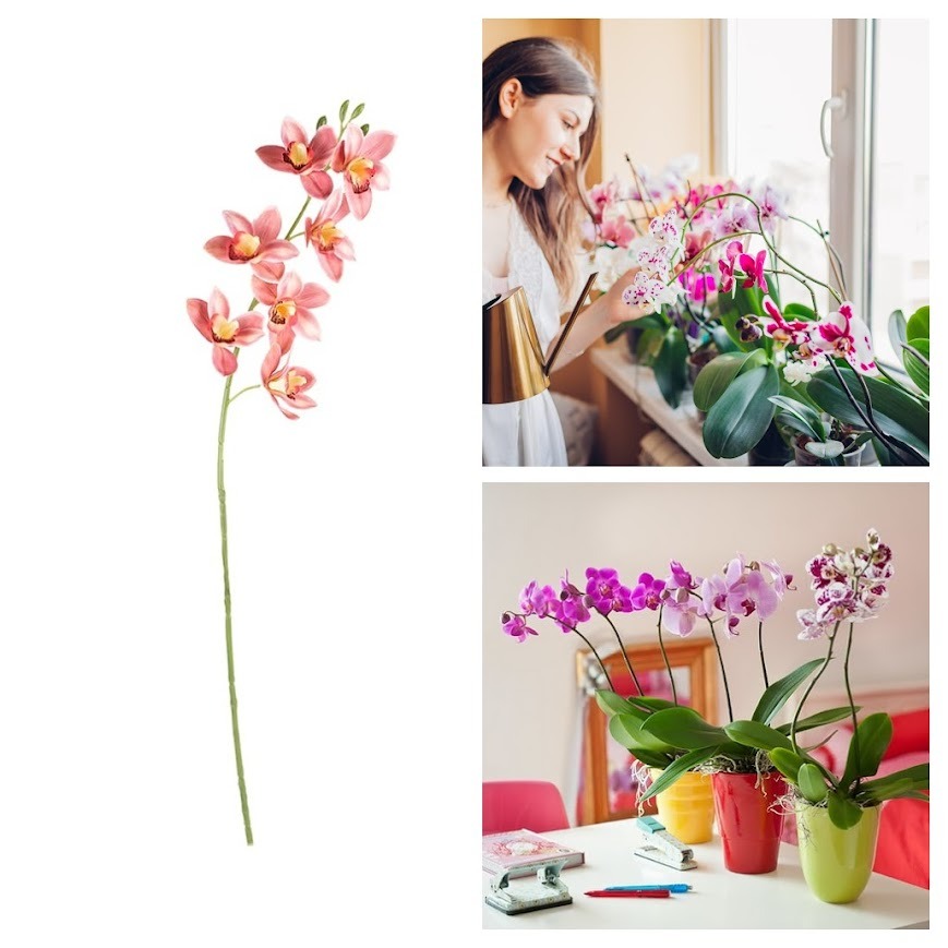 Las Mejores Ideas para Decorar con Orquídeas 13