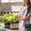 LetPot Indoor Garden quiere automatizar tu experiencia de cultivo hidropónico