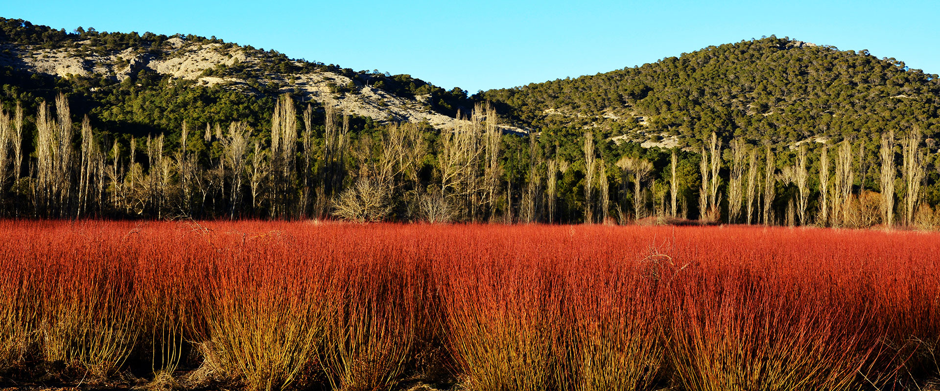 Cuenca: El latido de la Serranía en 2026 11 Cuenca: El latido de la Serranía en 2026 11