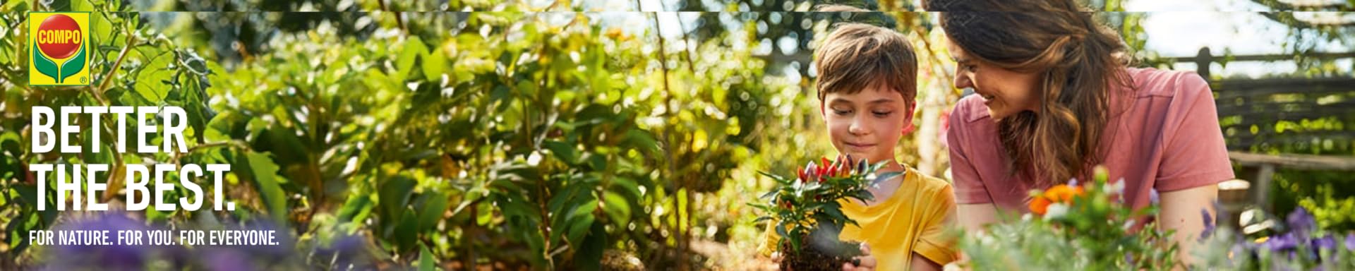 De la Selva al Salón: Cómo Lograr que tus Plantas de Follaje Exótico Crezcan Espectaculares 18