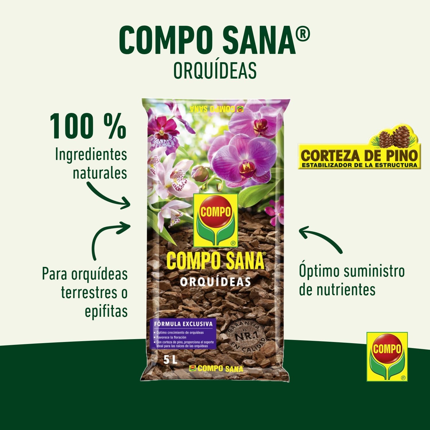 Pasión por las Orquídeas: Guía Definitiva de Cuidados 11 Pasión por las Orquídeas: Guía Definitiva de Cuidados 11