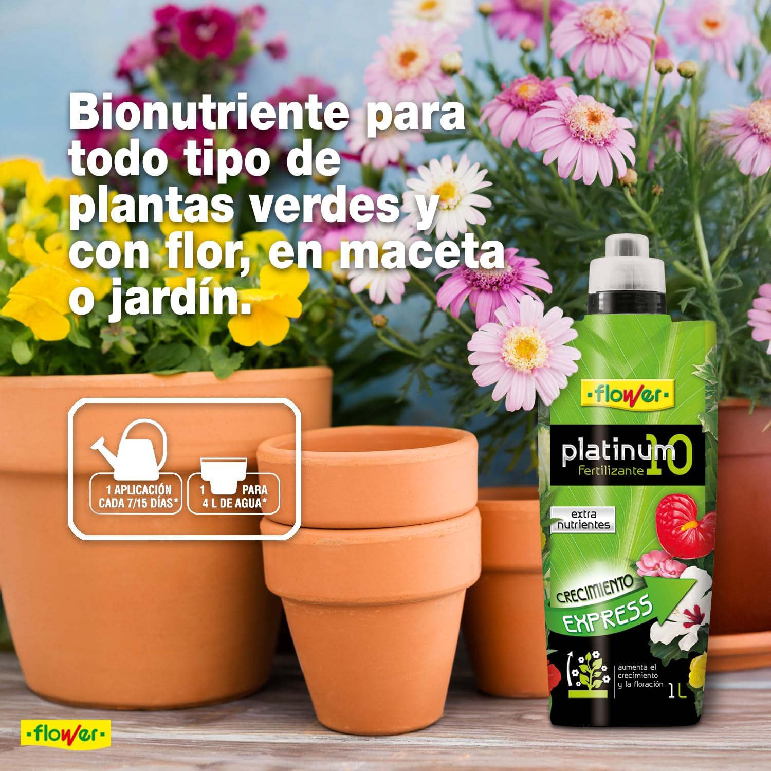 Recreando la selva en casa: guía de cultivo para la Tacca Chantrieri 8