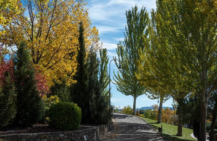 Un Paseo por los Parques Más Bellos de Cuenca 14