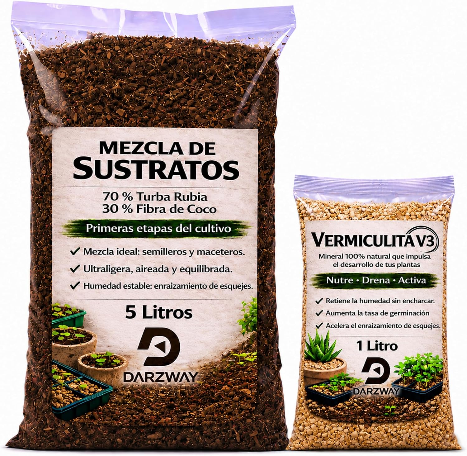 Recreando la selva en casa: guía de cultivo para la Tacca Chantrieri 9